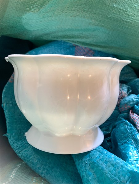 Chậu trái bí 310