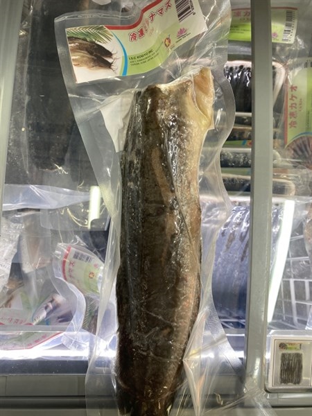 CÁ TRÊ / CATFISH WHOLE HEAD- CUTTING